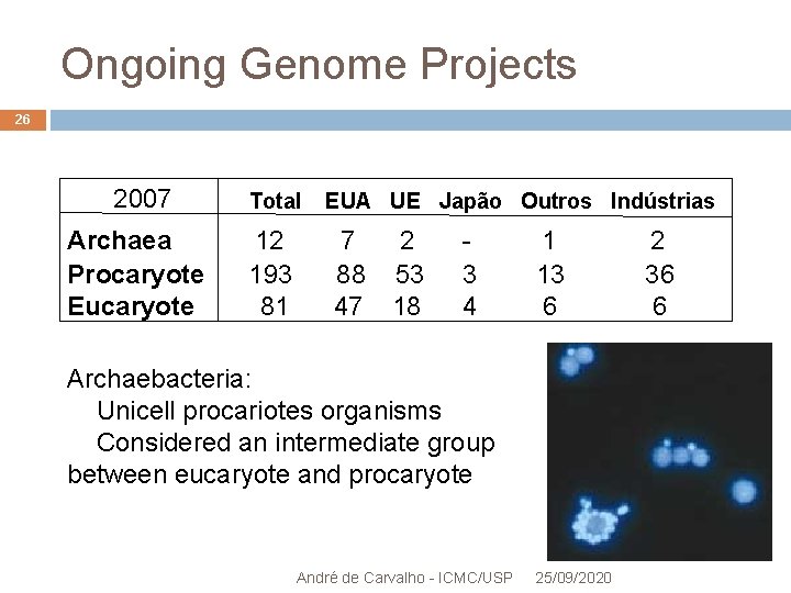 Ongoing Genome Projects 26 2007 Archaea Procaryote Eucaryote Total 12 193 81 EUA UE