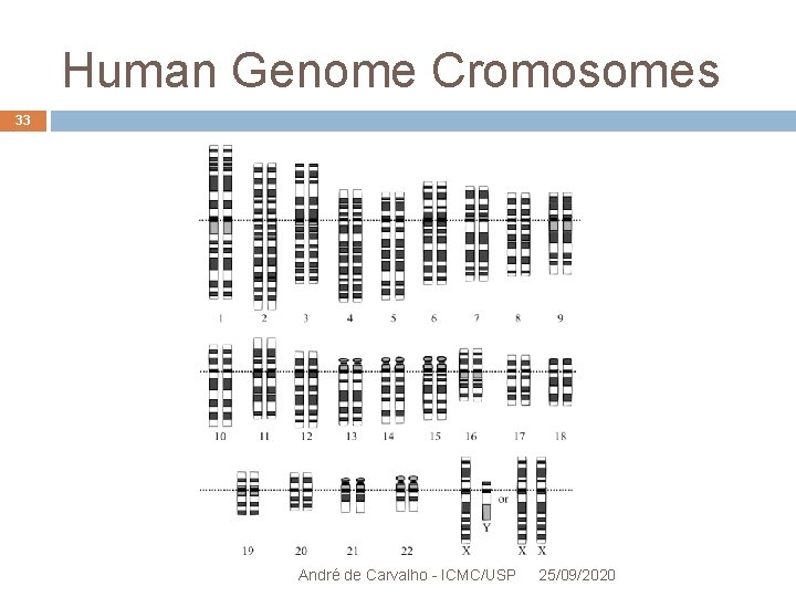 Human Genome Cromosomes 33 André de Carvalho - ICMC/USP 25/09/2020 