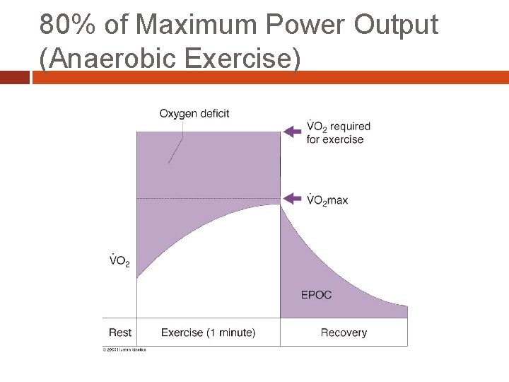 80% of Maximum Power Output (Anaerobic Exercise) 