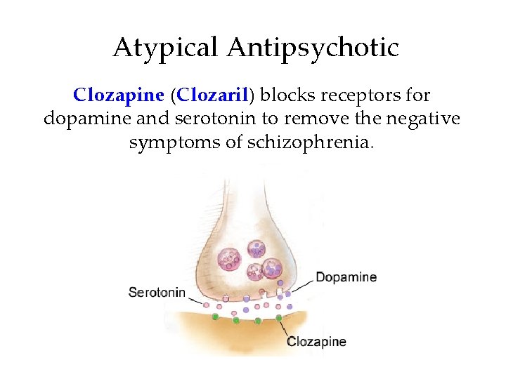 Atypical Antipsychotic Clozapine (Clozaril) blocks receptors for dopamine and serotonin to remove the negative Atypical Antipsychotic Clozapine (Clozaril) blocks receptors for dopamine and serotonin to remove the negative