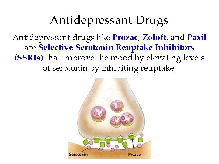 Antidepressant Drugs Antidepressant drugs like Prozac, Zoloft, and Paxil are Selective Serotonin Reuptake Inhibitors Antidepressant Drugs Antidepressant drugs like Prozac, Zoloft, and Paxil are Selective Serotonin Reuptake Inhibitors