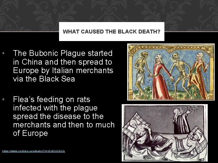 WHAT CAUSED THE BLACK DEATH? • The Bubonic Plague started in China and then