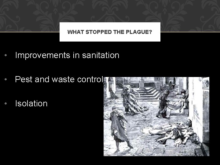 WHAT STOPPED THE PLAGUE? • Improvements in sanitation • Pest and waste control •