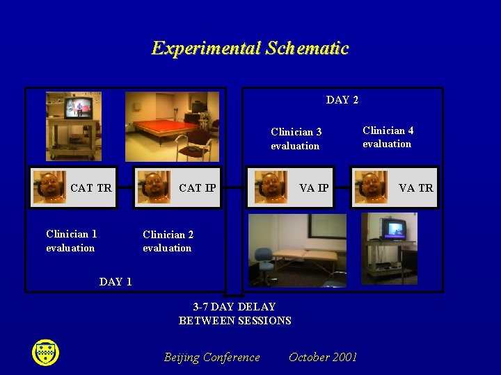 Experimental Schematic DAY 2 Clinician 3 evaluation CAT TR Clinician 1 evaluation CAT IP