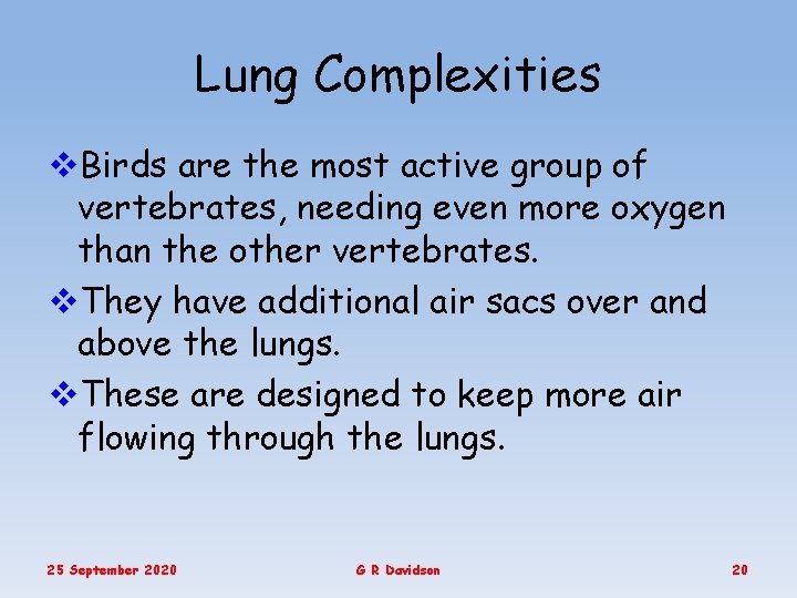 Lung Complexities v. Birds are the most active group of vertebrates, needing even more