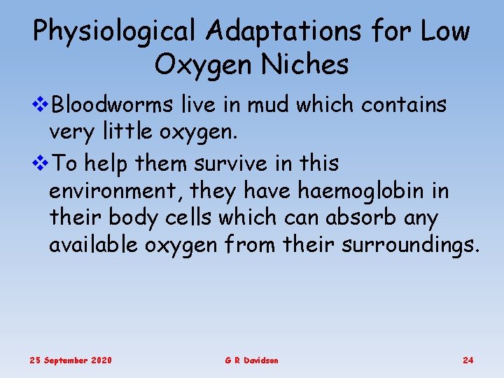 Physiological Adaptations for Low Oxygen Niches v. Bloodworms live in mud which contains very