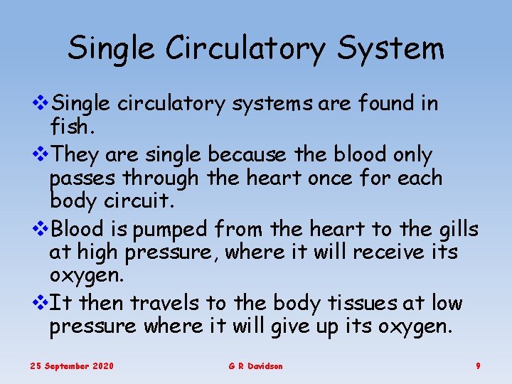 Single Circulatory System v. Single circulatory systems are found in fish. v. They are