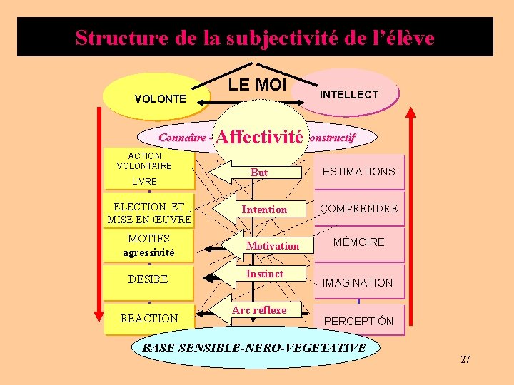 Structure de la subjectivité de l’élève VOLONTE LE MOI INTELLECT Affectivité Connaître -sentir-avec-activité constructif