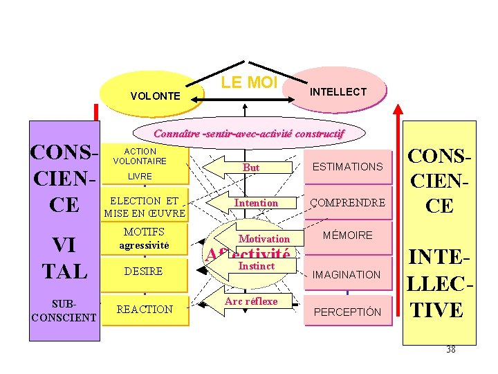 VOLONTE LE MOI INTELLECT Connaître -sentir-avec-activité constructif CONSCIENELECTION ET CE MISE EN ŒUVRE ACTION