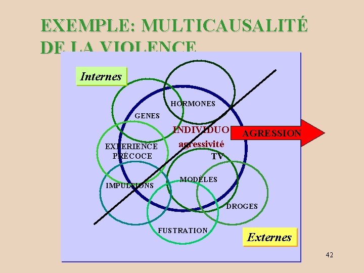 EXEMPLE: MULTICAUSALITÉ DE LA VIOLENCE Internes HORMONES GENES EXPERIENCE PRÉCOCE IMPULSIONS INDIVIDUO agressivité AGRESSION