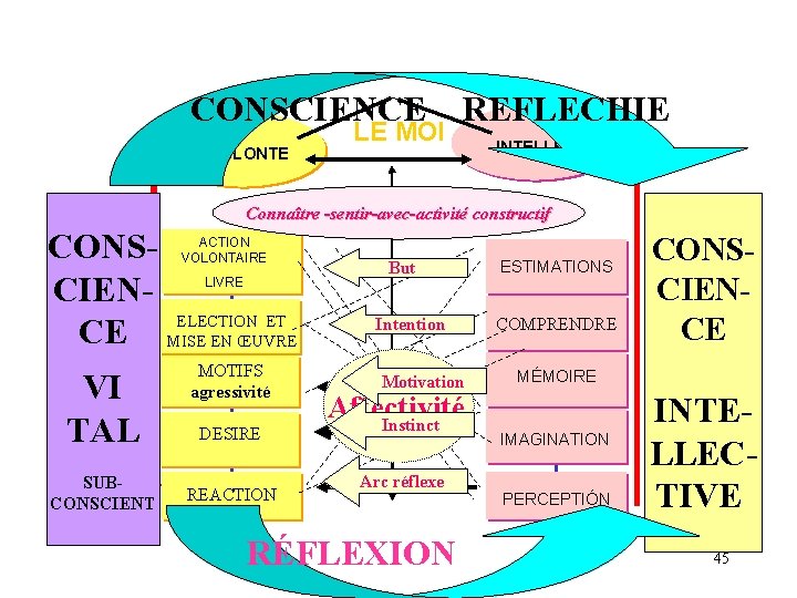 CONSCIENCE VOLONTE LE MOI REFLECHIE INTELLECT Connaître -sentir-avec-activité constructif CONSCIENELECTION ET CE MISE EN