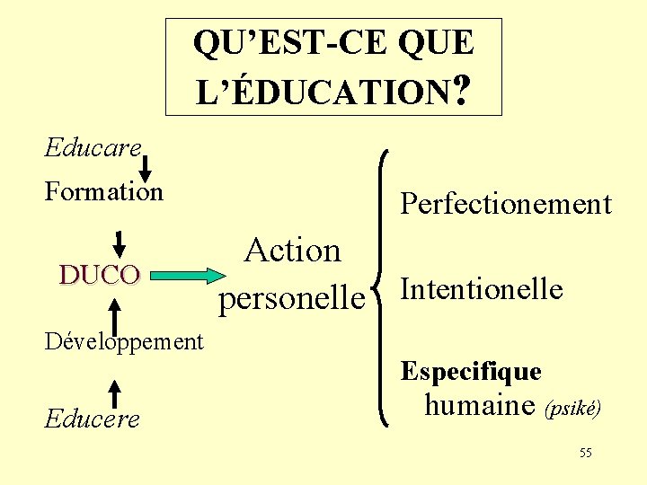 QU’EST-CE QUE L’ÉDUCATION? Educare Formation DUCO Développement Educere Perfectionement Action personelle Intentionelle Especifique humaine