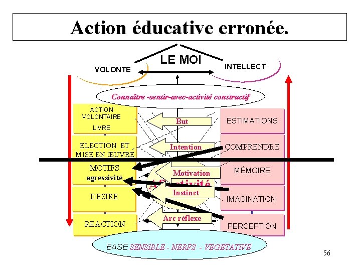 Action éducative erronée. VOLONTE LE MOI INTELLECT Connaître -sentir-avec-activité constructif ACTION VOLONTAIRE LIVRE ELECTION