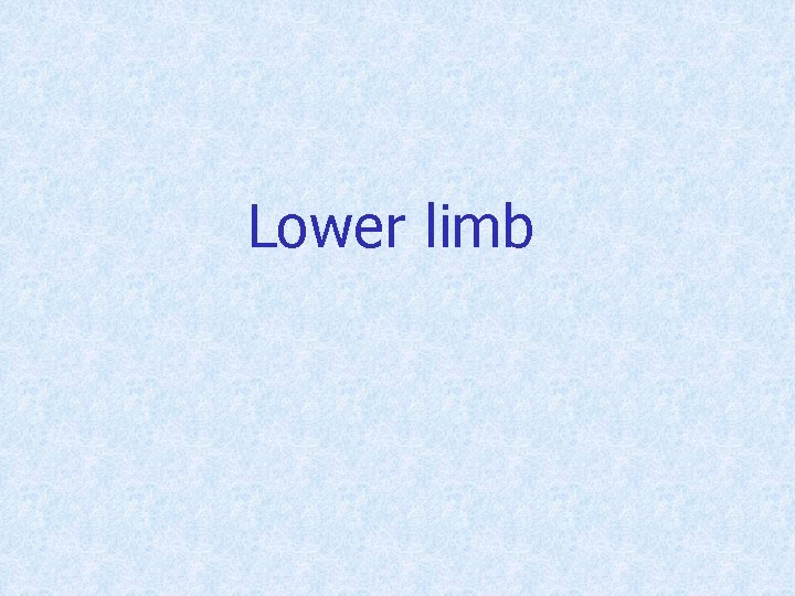 Lower limb 