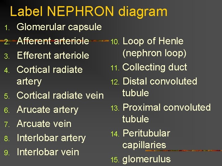 Label NEPHRON diagram 1. 2. 3. 4. 5. 6. 7. 8. 9. Glomerular capsule