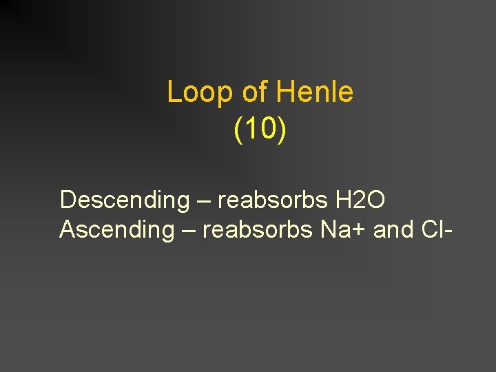 Loop of Henle (10) Descending – reabsorbs H 2 O Ascending – reabsorbs Na+