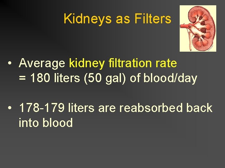 Kidneys as Filters • Average kidney filtration rate = 180 liters (50 gal) of