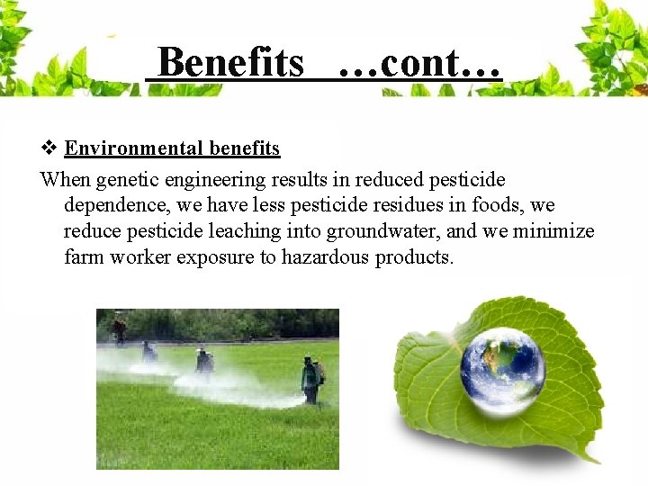 Benefits …cont… v Environmental benefits When genetic engineering results in reduced pesticide dependence, we