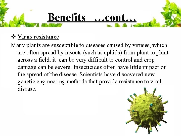 Benefits …cont… v Virus resistance Many plants are susceptible to diseases caused by viruses,