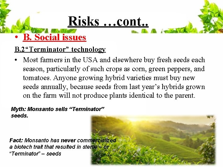 Risks …cont. . • B. Social issues B. 2“Terminator” technology • Most farmers in