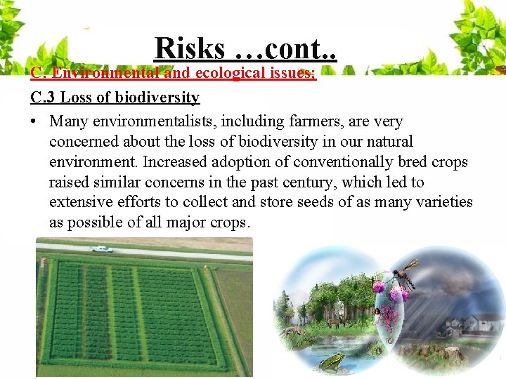 Risks …cont. . C. Environmental and ecological issues; C. 3 Loss of biodiversity •
