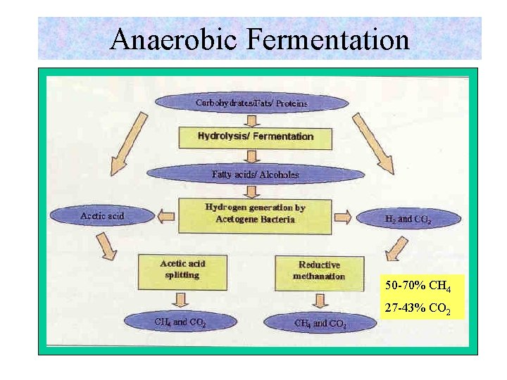 Anaerobic Fermentation 50 -70% CH 4 27 -43% CO 2 