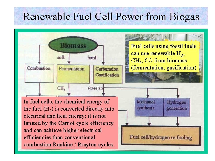 Renewable Fuel Cell Power from Biogas Fuel cells using fossil fuels can use renewable