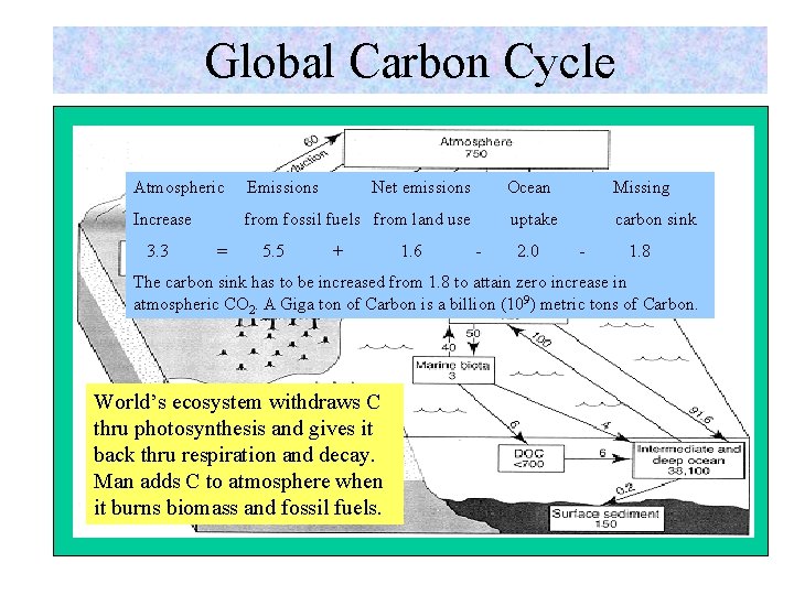 Global Carbon Cycle Atmospheric Emissions Increase from fossil fuels from land use 3. 3