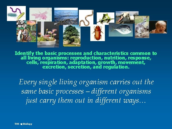 Identify the basic processes and characteristics common to all living organisms: reproduction, nutrition, response,