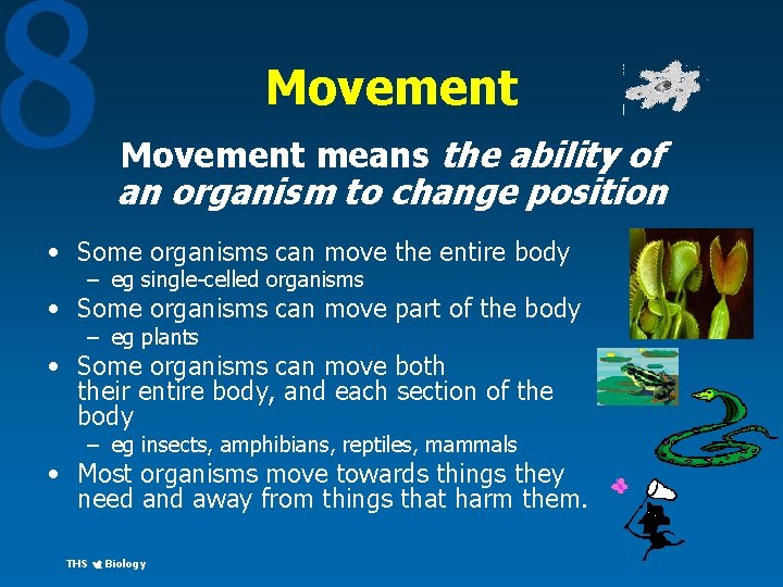 8 Movement means the ability of an organism to change position • Some organisms