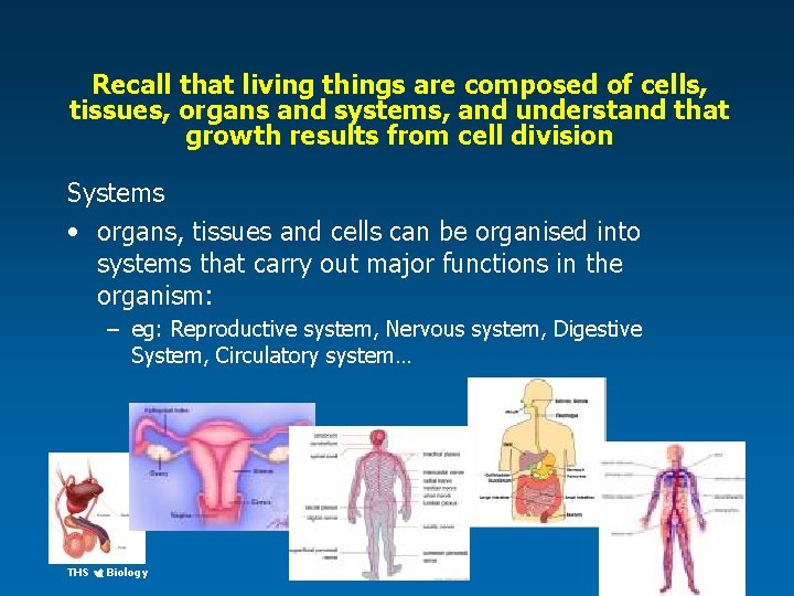 Recall that living things are composed of cells, tissues, organs and systems, and understand