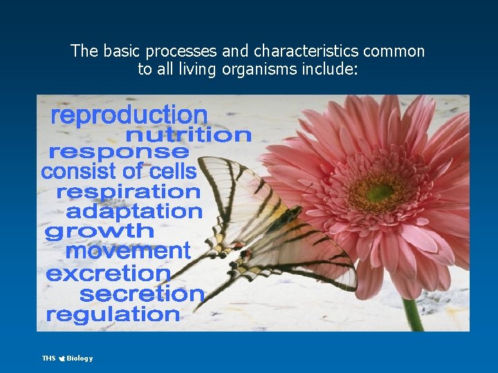 The basic processes and characteristics common to all living organisms include: THS Biology 