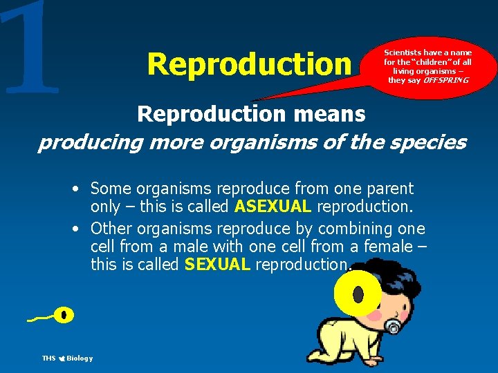 1 Reproduction Scientists have a name for the “children” of all living organisms –