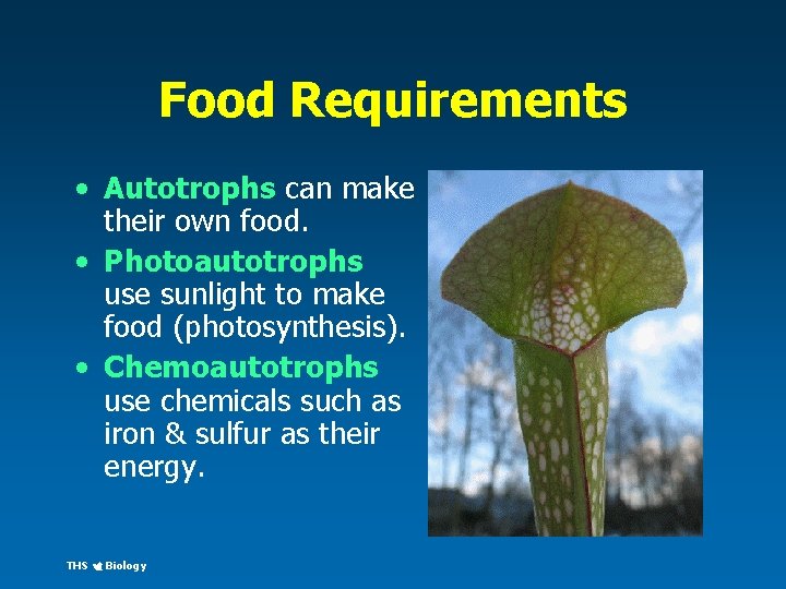 Food Requirements • Autotrophs can make their own food. • Photoautotrophs use sunlight to