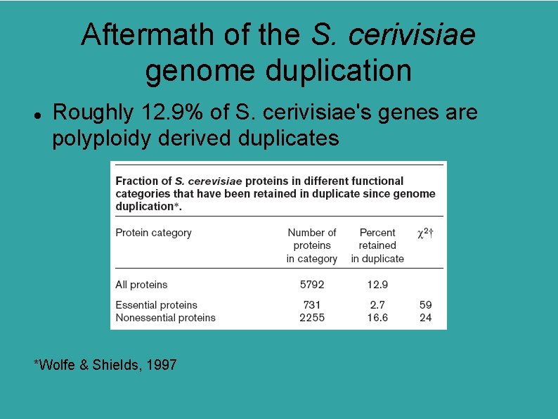 Aftermath of the S. cerivisiae genome duplication Roughly 12. 9% of S. cerivisiae's genes