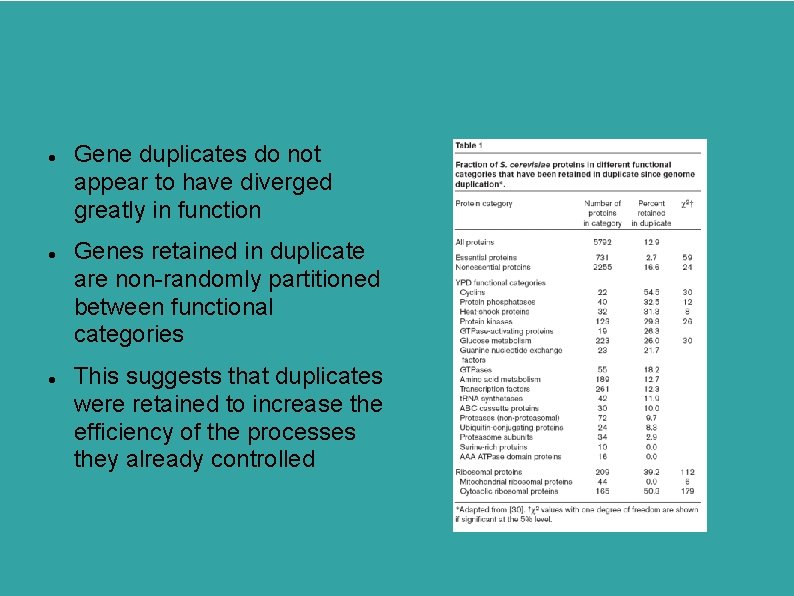  Gene duplicates do not appear to have diverged greatly in function Genes retained