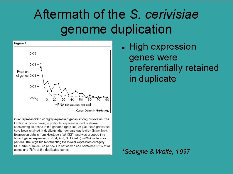 Aftermath of the S. cerivisiae genome duplication High expression genes were preferentially retained in