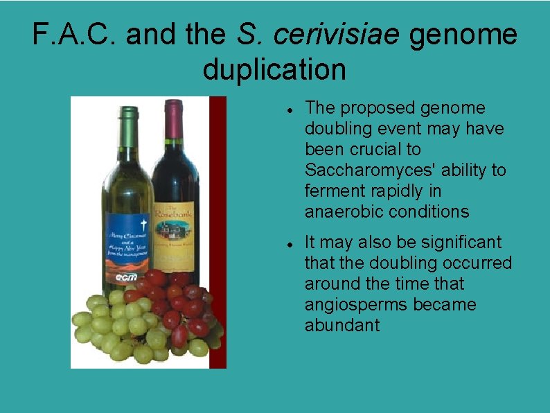 F. A. C. and the S. cerivisiae genome duplication The proposed genome doubling event