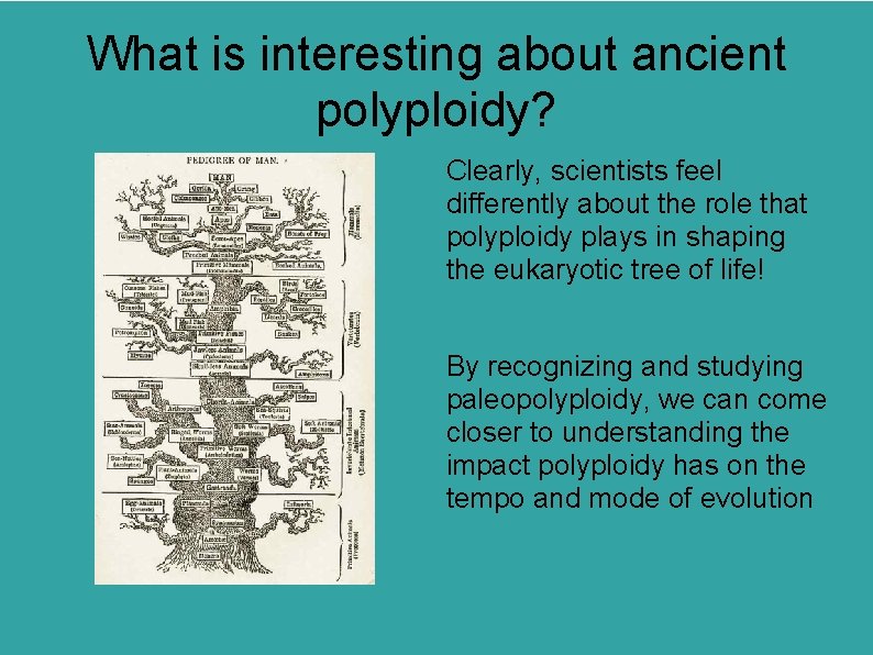 What is interesting about ancient polyploidy? Clearly, scientists feel differently about the role that