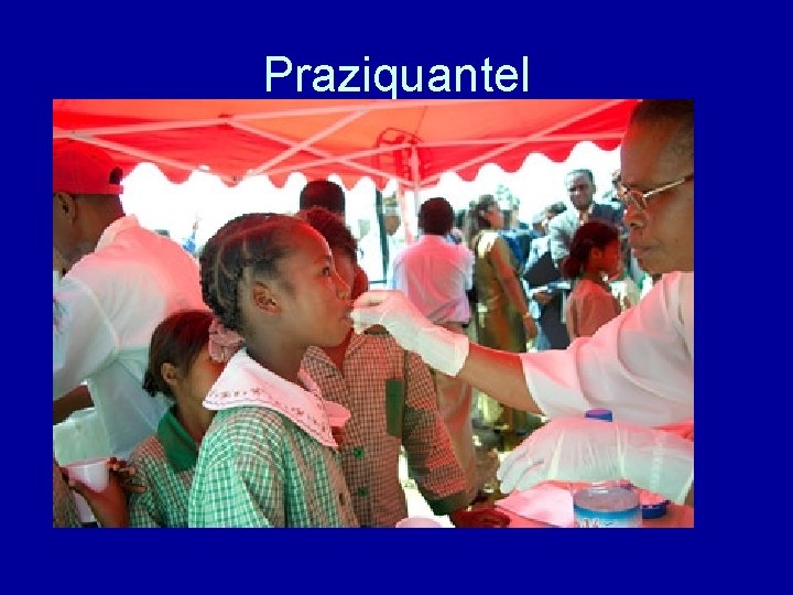 Praziquantel 