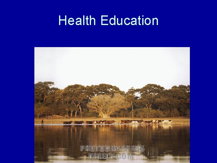 Health Education 