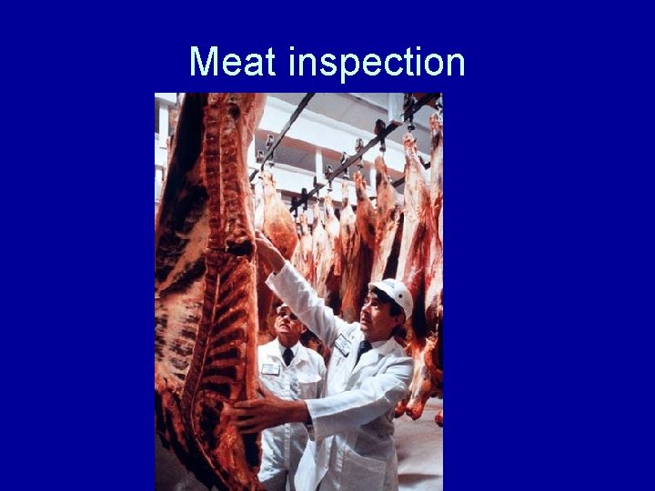 Meat inspection 