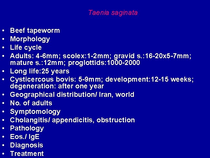 Taenia saginata • • • • Beef tapeworm Morphology Life cycle Adults: 4 -6