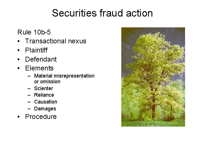 Securities fraud action Rule 10 b-5 • Transactional nexus • Plaintiff • Defendant •