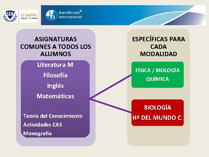 ASIGNATURAS COMUNES A TODOS LOS ALUMNOS ESPECÍFICAS PARA CADA MODALIDAD Literatura M Filosofía Inglés