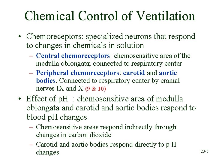 Chemical Control of Ventilation • Chemoreceptors: specialized neurons that respond to changes in chemicals