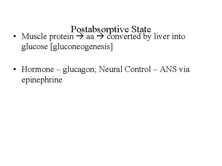 Postabsorptive State • Muscle protein aa converted by liver into glucose [gluconeogenesis] • Hormone