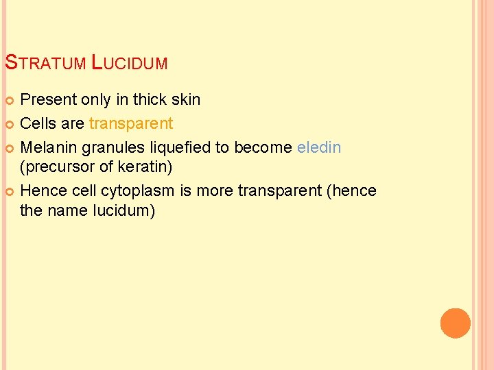STRATUM LUCIDUM Present only in thick skin Cells are transparent Melanin granules liquefied to