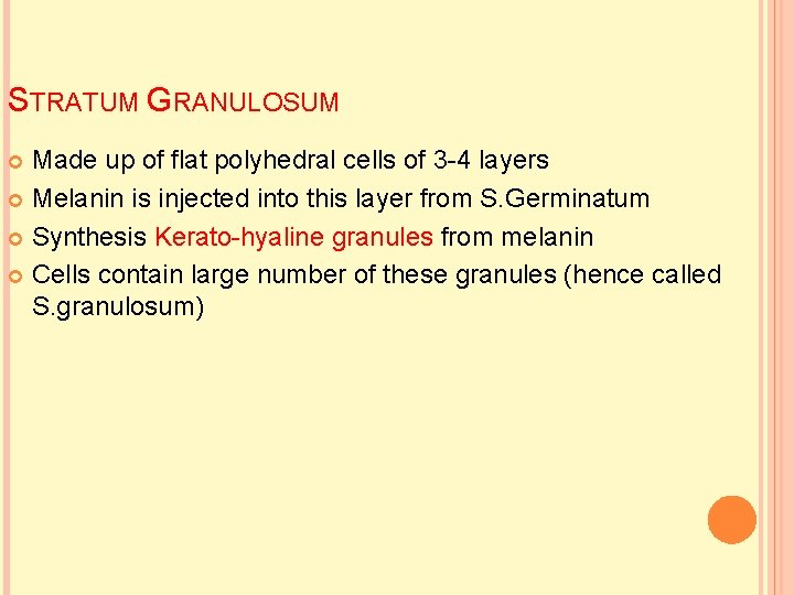 STRATUM GRANULOSUM Made up of flat polyhedral cells of 3 -4 layers Melanin is
