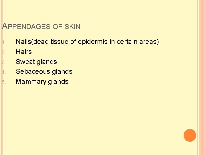 APPENDAGES OF SKIN 1. 2. 3. 4. 5. Nails(dead tissue of epidermis in certain